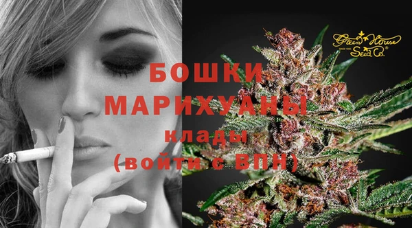 ПСИЛОЦИБИНОВЫЕ ГРИБЫ Баксан
