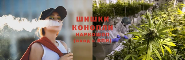 apvp Протвино