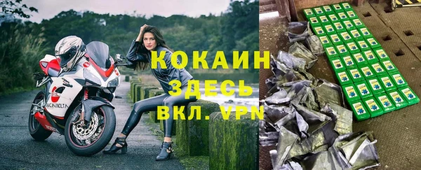 ПСИЛОЦИБИНОВЫЕ ГРИБЫ Баксан