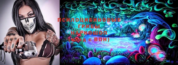 ПСИЛОЦИБИНОВЫЕ ГРИБЫ Баксан