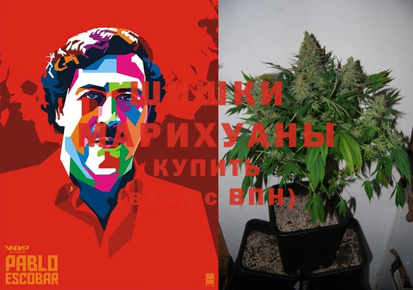 ECSTASY Балахна