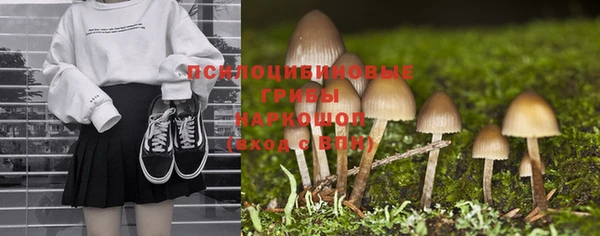 apvp Балабаново