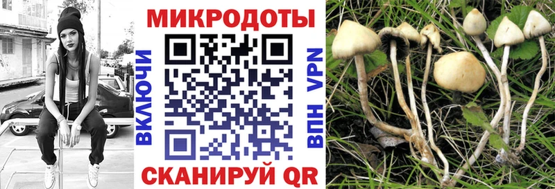 наркошоп  Богородицк  Галлюциногенные грибы мицелий 