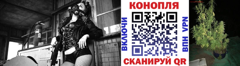 Бошки Шишки White Widow Богородицк